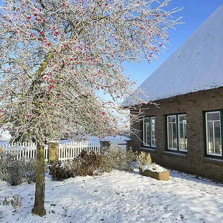 Reetdachhaus Kuestenvilla *