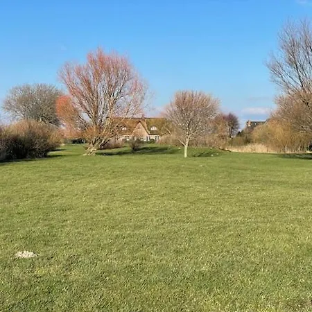Tatil Evi Reetdachhaus Kuestenvilla Büsum